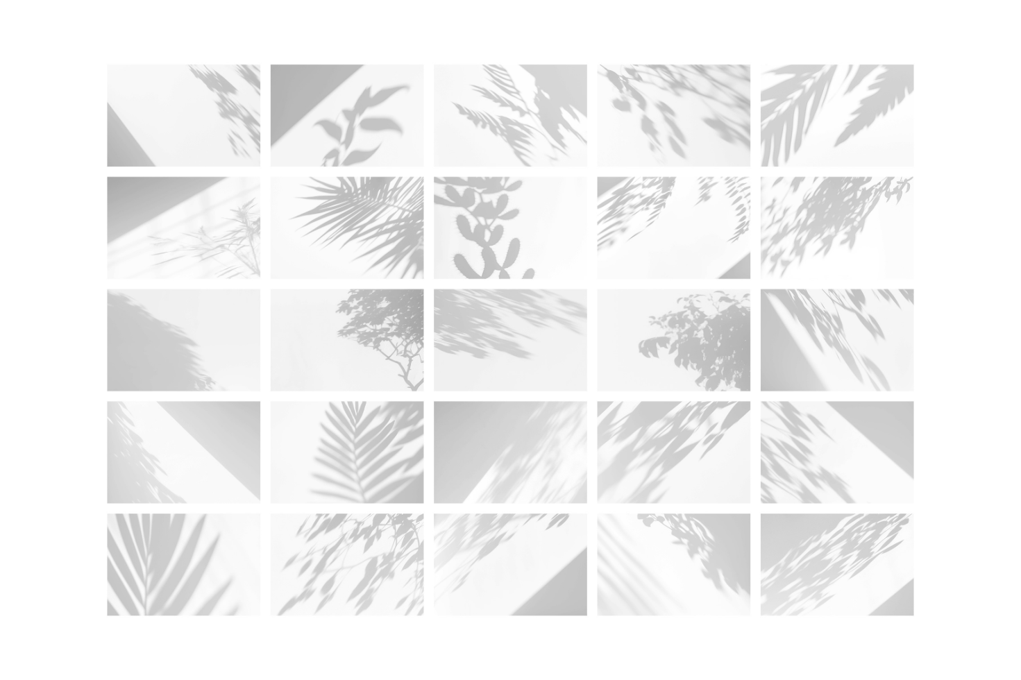 Collage of 20 subtle plant shadows on a light background perfect for branding mockups graphic designs shadow overlays digital design templates.