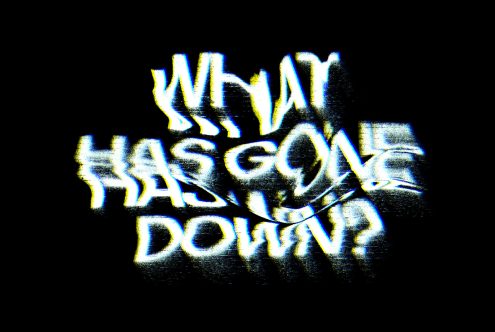 Distorted glitch text graphic saying What has gone down ideal for digital design assets perfect for modern or retro-inspired design projects and templates