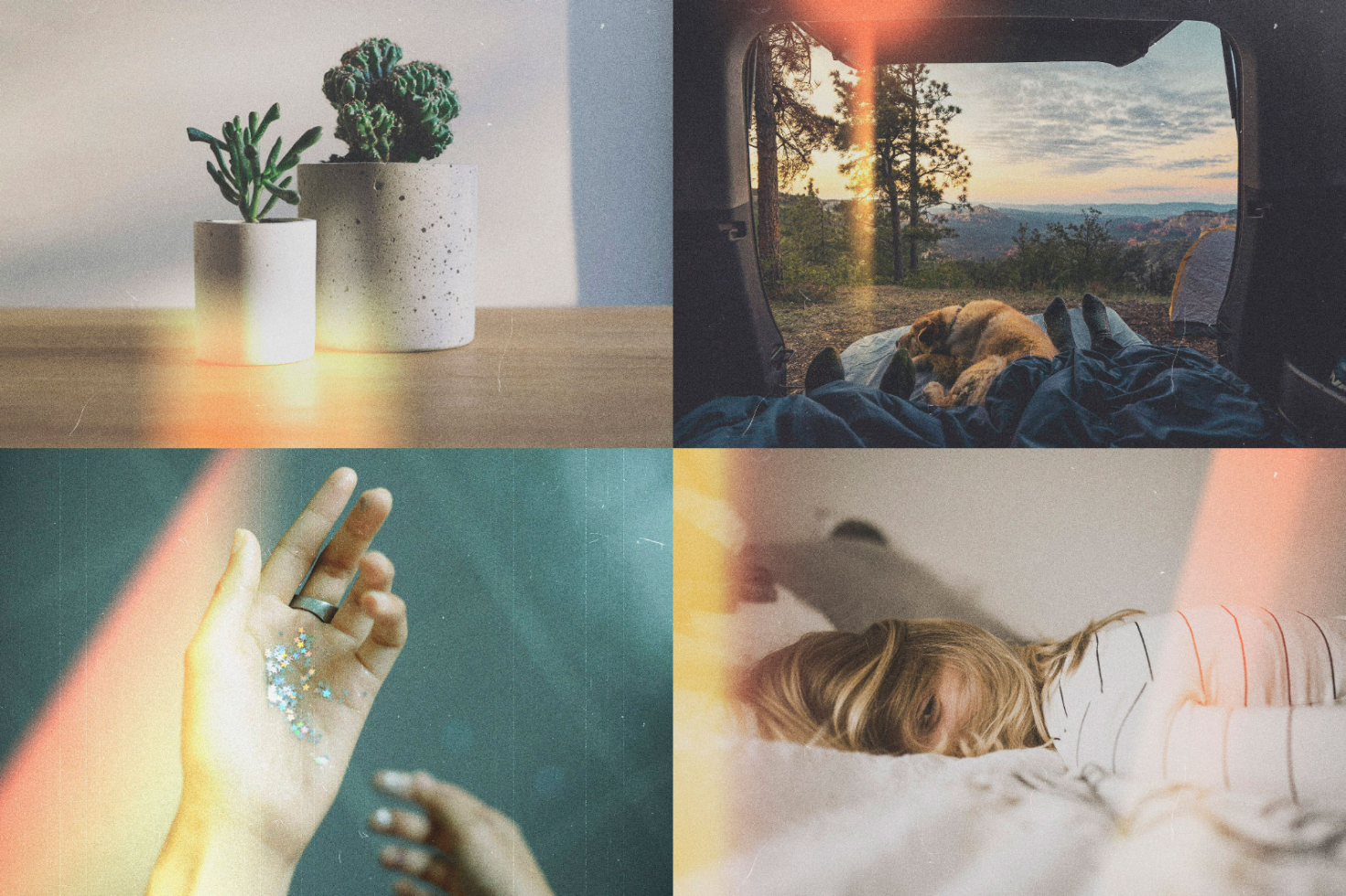 Collage of aesthetic images: indoor plants on table, camping view with dog, hand sprinkling glitter, woman laying on bed. Perfect for design mockups and templates.