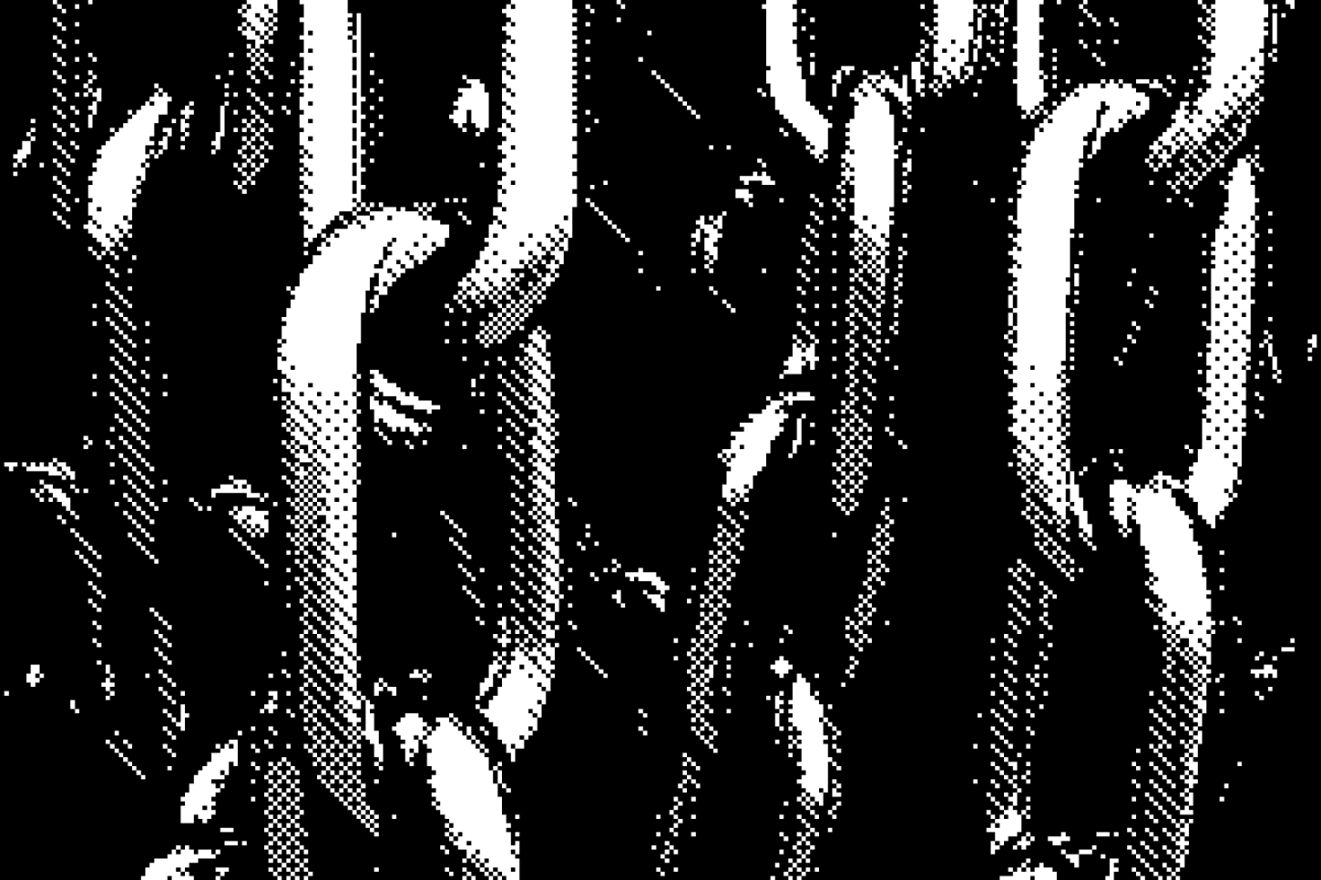 Abstract black and white halftone graphic of interlinked chains suitable for backgrounds or textures in digital design mockups templates and graphics.