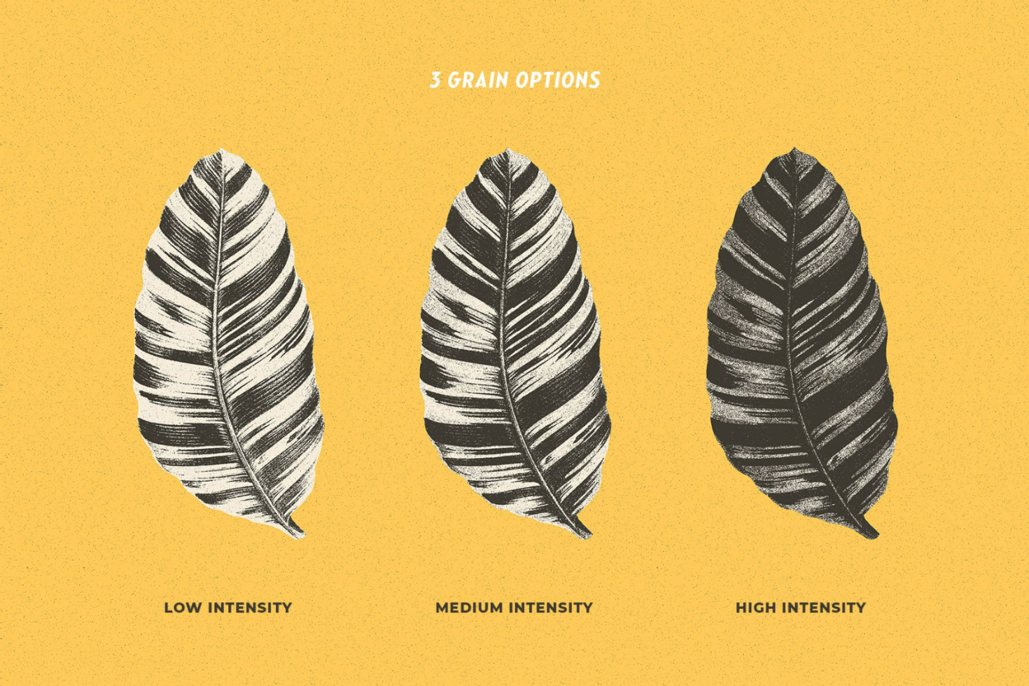 Three detailed leaf graphics with different grain intensity levels on a yellow background suitable for digital designers templates vector illustration mockup.