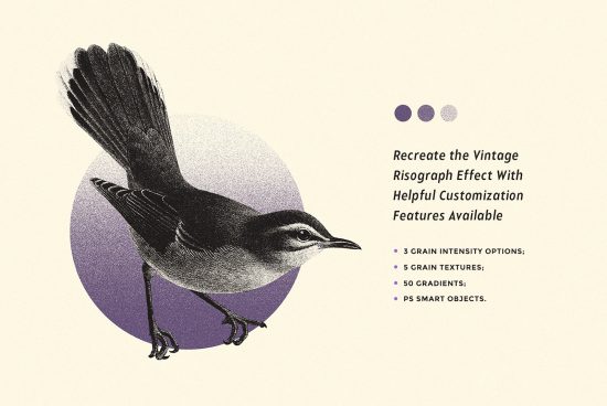 Vintage Risograph Effect Mockup for designers featuring a bird illustration. Includes 3 grain intensity options, 5 grain textures, 50 gradients, PS smart objects.