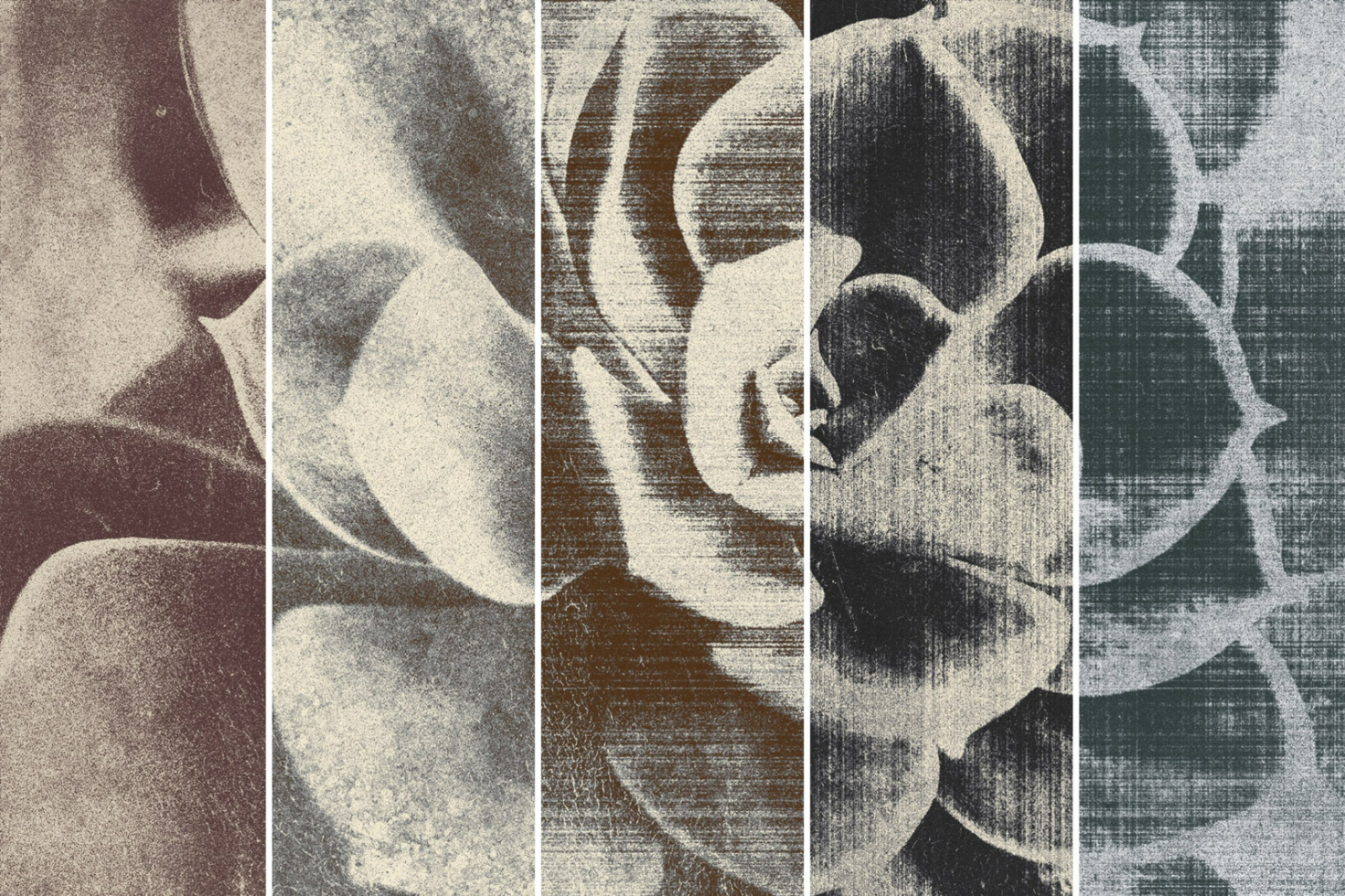 Grunge texture floral graphics collection with multiple vintage distressed flower patterns ideal for background design, packaging, and artistic templates.