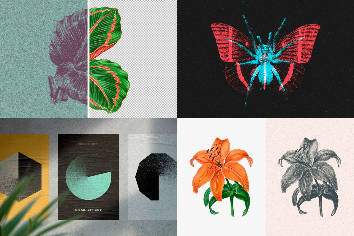 Marketplace digital assets designs featuring illustrated leaves, neon butterfly, geometric grain effect posters, vibrant and monochrome lilies perfect for graphics.