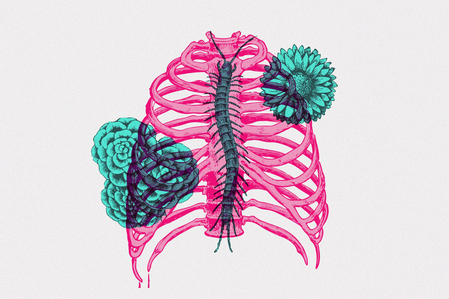 Colorful illustration of a ribcage with teal flowers and a centipede. Ideal for graphics or templates for digital designs, mockups, print, and creative projects.