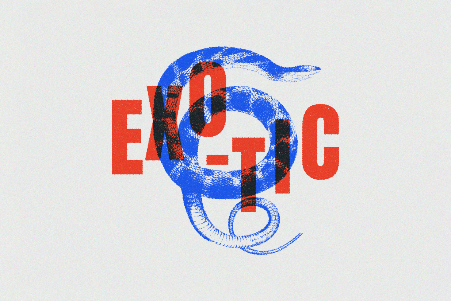 Creative graphic design featuring the word EXOTIC in bold red letters overlaid on a blue snake illustration. Ideal for designers seeking unique graphics.