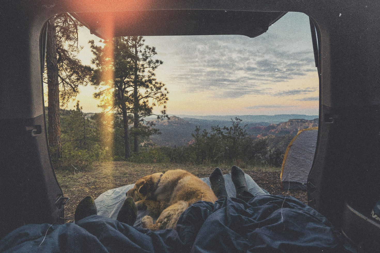 View from inside a tent with a person and dog resting outdoors at sunrise in the mountains Keywords camping nature adventure landscape wilderness travel mockup