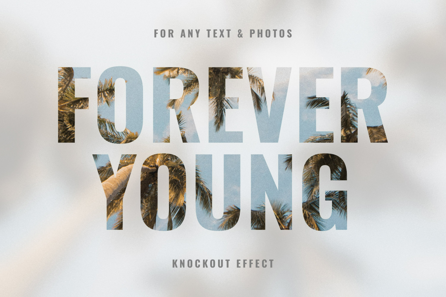 Text Knockout Mockup showing FOREVER YOUNG with palm trees inside the text. Perfect for designers. Mockups Templates Graphics for texts and photos.