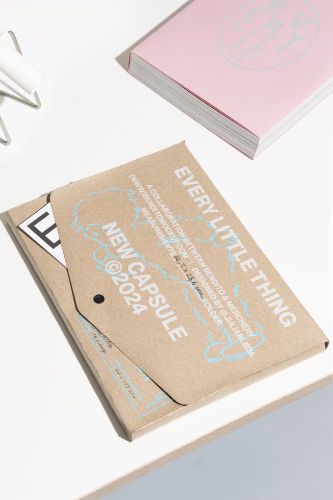 Cardboard envelope with white text and blue graphics, labeled New Capsule 2024, next to a pink book on a minimalist desk. Ideal for mockups and templates.