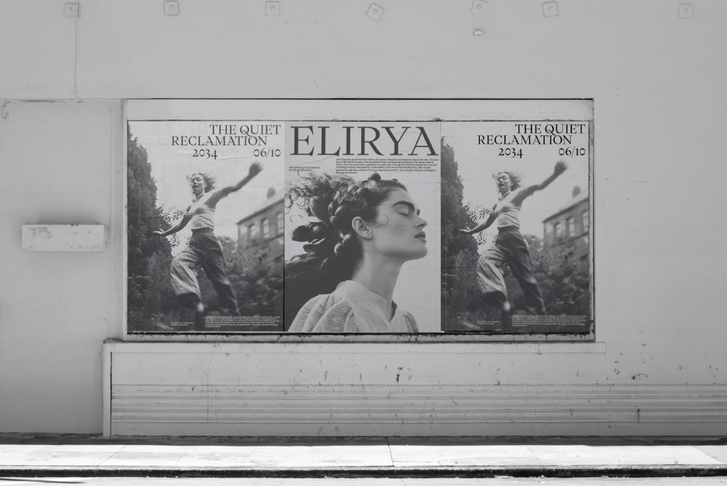 Black and white street advertisement featuring fashion posters for the magazine Elirya with bold typography. Ideal for designers seeking mockups and templates.