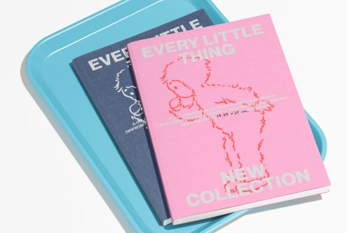 Two modern designed book covers on a blue tray - one in pink and one in blue, emphasizing Every Little Thing and New Collection. Keywords: mockup, books, design.