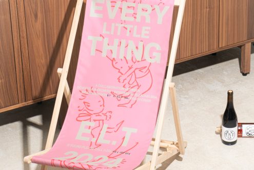 Pink beach chair with modern print Every Little Thing on seat, wooden frame, indoor setting near wooden cabinet, wine bottles on floor, stylish, unique design asset