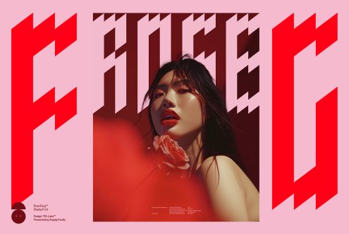 Bold geometric display font surrounding a portrait of a woman holding a flower on a red background. Keyword: Display Font, Visual Graphic, Designers, Creative Typography