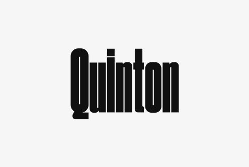 Bold black Quinton font on a light gray background perfect for logos typography posters digital assets for designers in the fonts category for SEO.