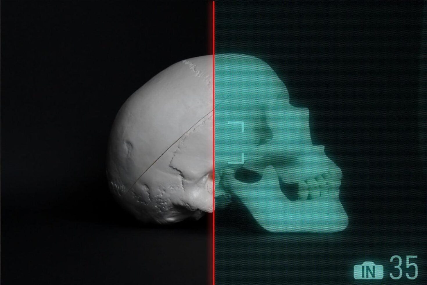 Digital asset featuring a split human skull with one side in 3D render and the other as an X-ray design perfect for graphics and templates.