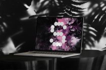 MacBook with white circles on purple liquid swirl, fern leaves behind