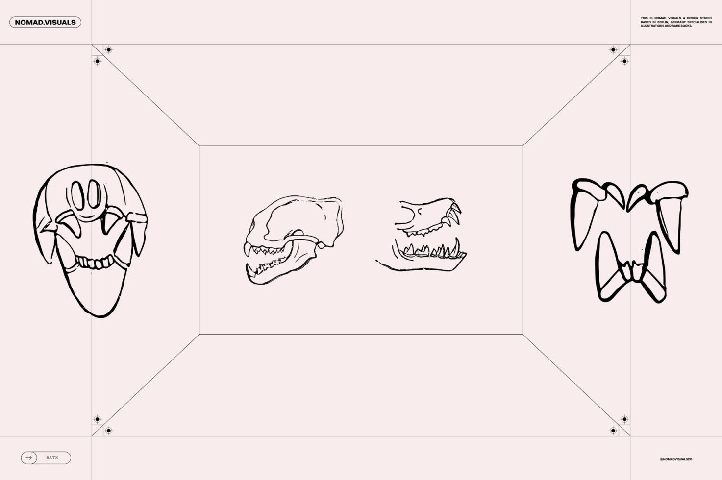 Illustrated animal skulls line art on paper template, ideal for designers creating graphic assets, templates, illustration projects, digital mockups.