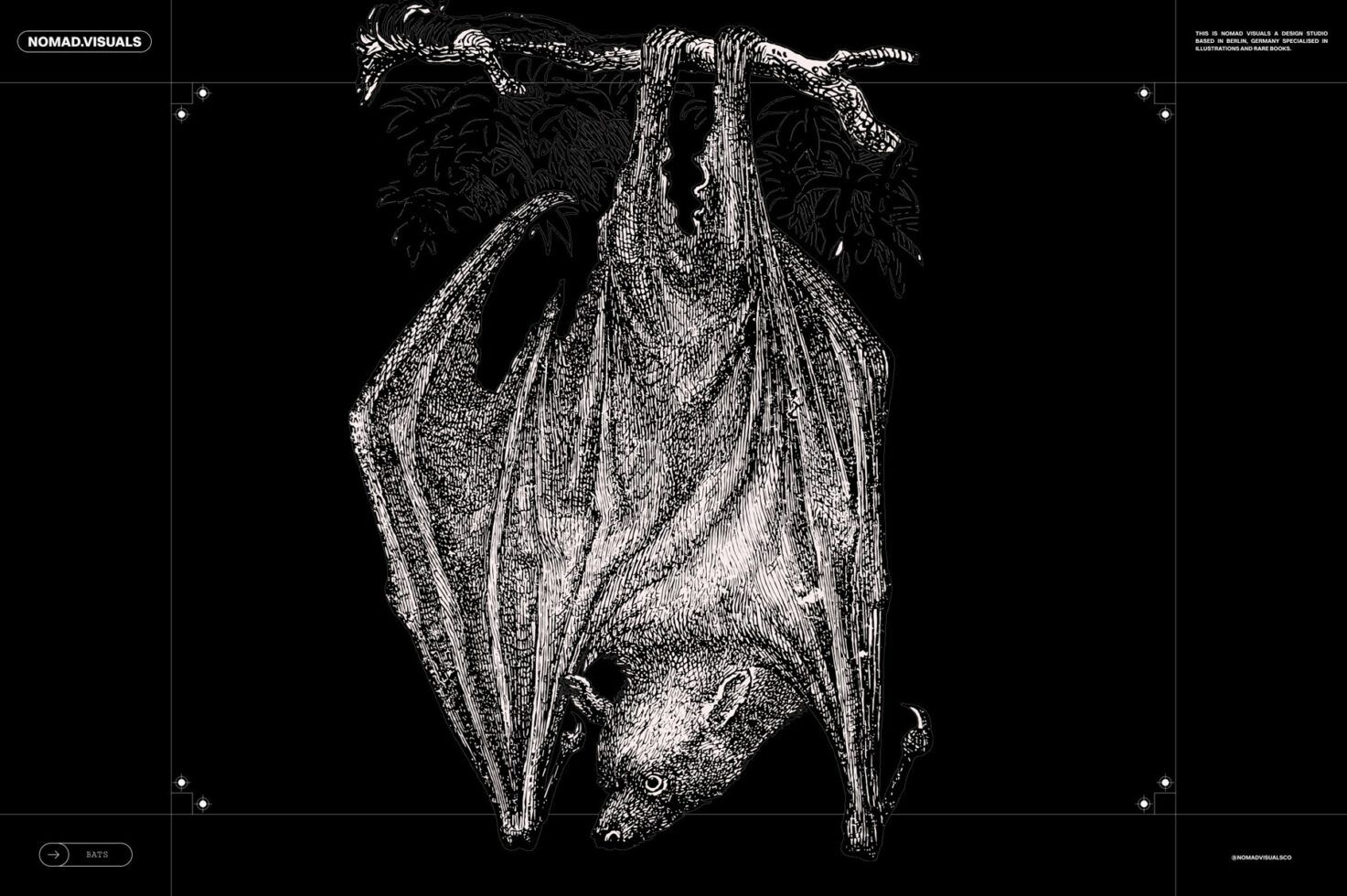 Intricate bat illustration hanging on a branch against black background ideal for use in graphic design projects or as a unique template for creatives.