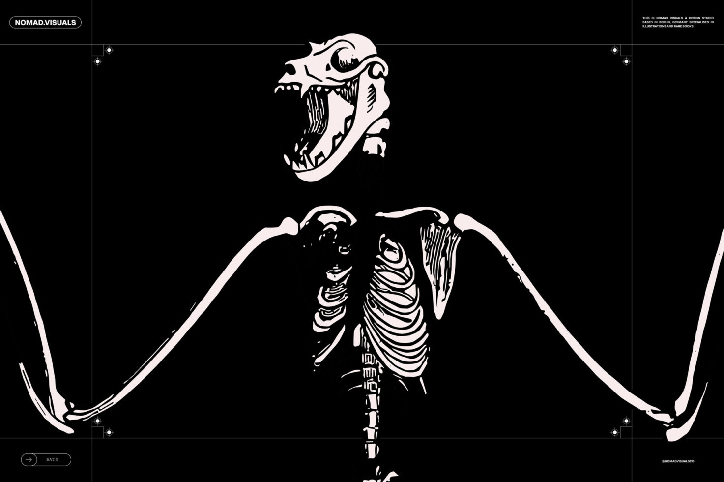 Illustration of a bat skeleton on a black background suitable for use in posters or templates. Ideal graphic design resource for designers seeking unique visuals.