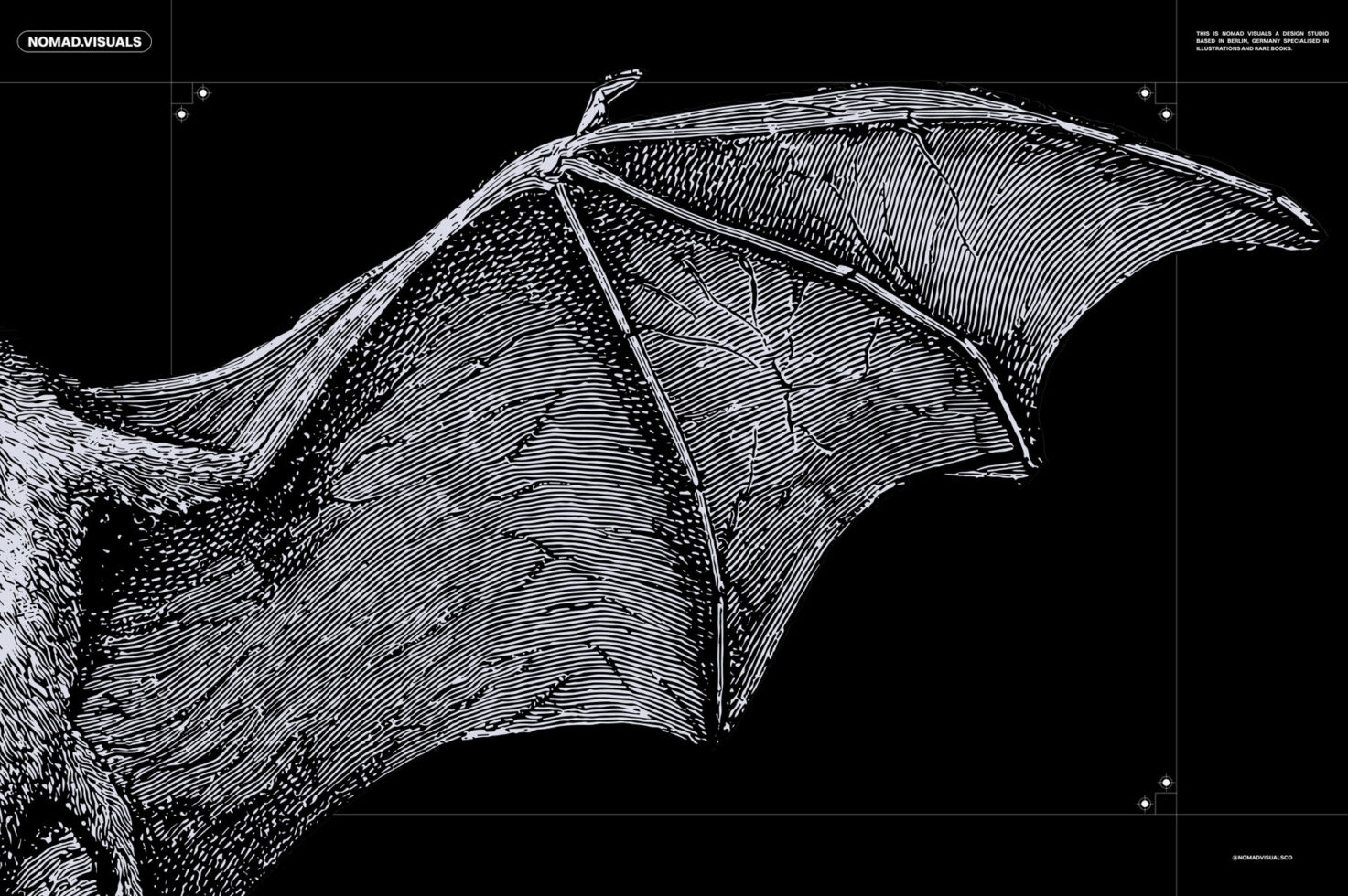 Intricate black and white illustration of a bat wing. Ideal for designers seeking unique graphics. Perfect for templates or mockups focused on nature themes.