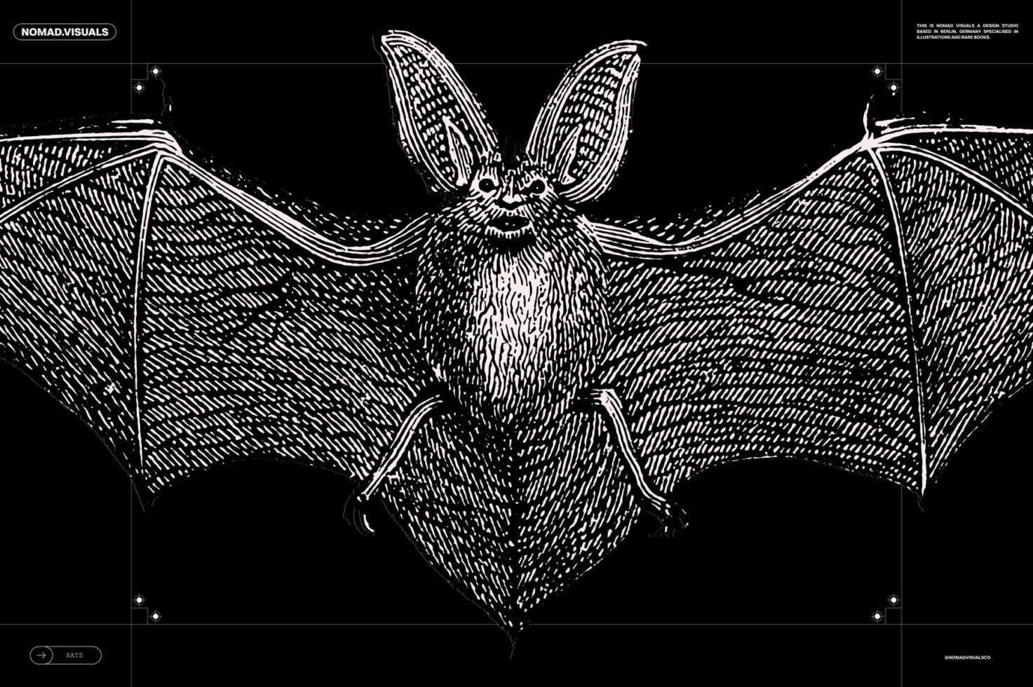 Intricate bat illustration in black and white, showcasing detailed linework. Perfect for graphic designers seeking unique nature-themed designs.