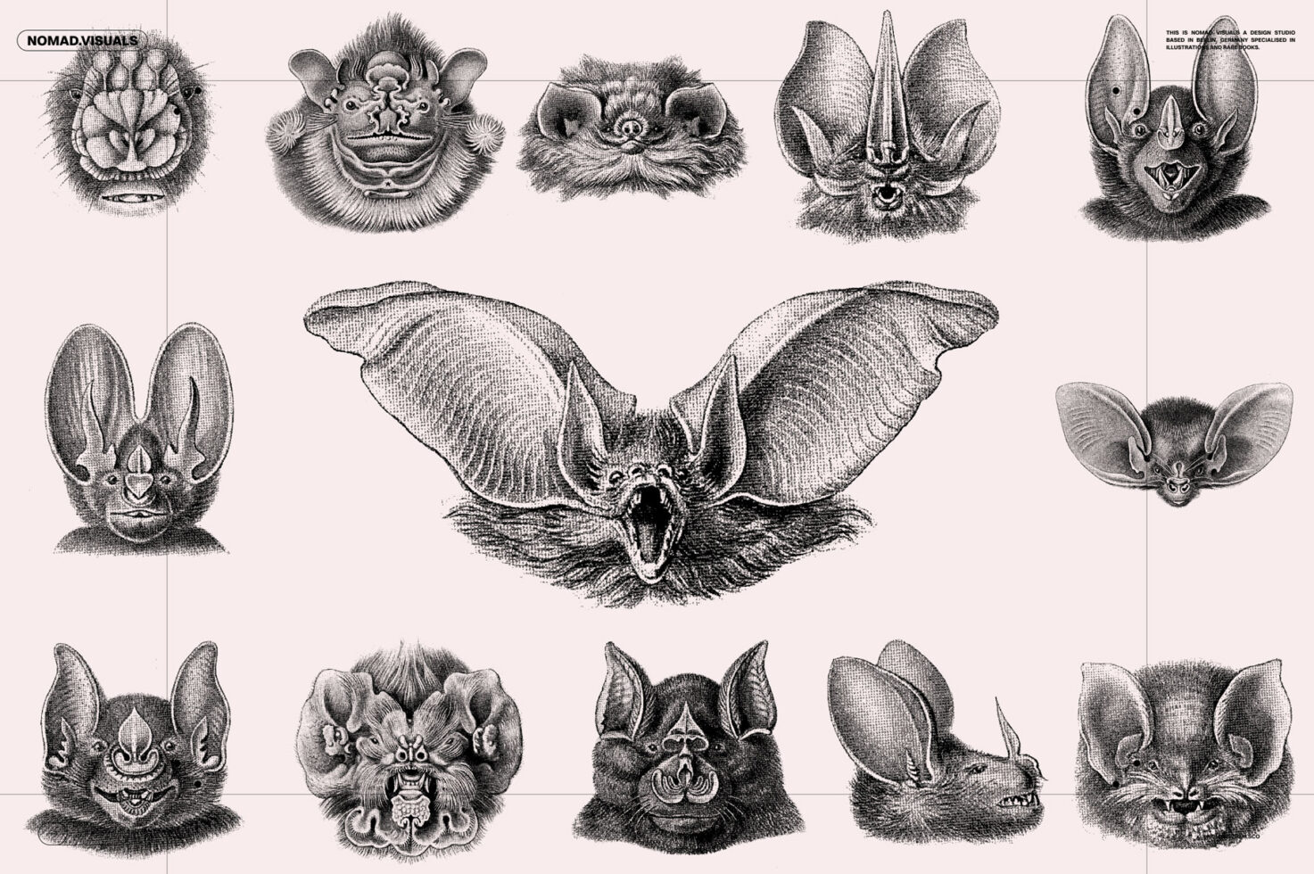 Vintage bat illustrations set showcasing detailed bat anatomy and features perfect for graphics templates and design mockups. Retro animal sketches.