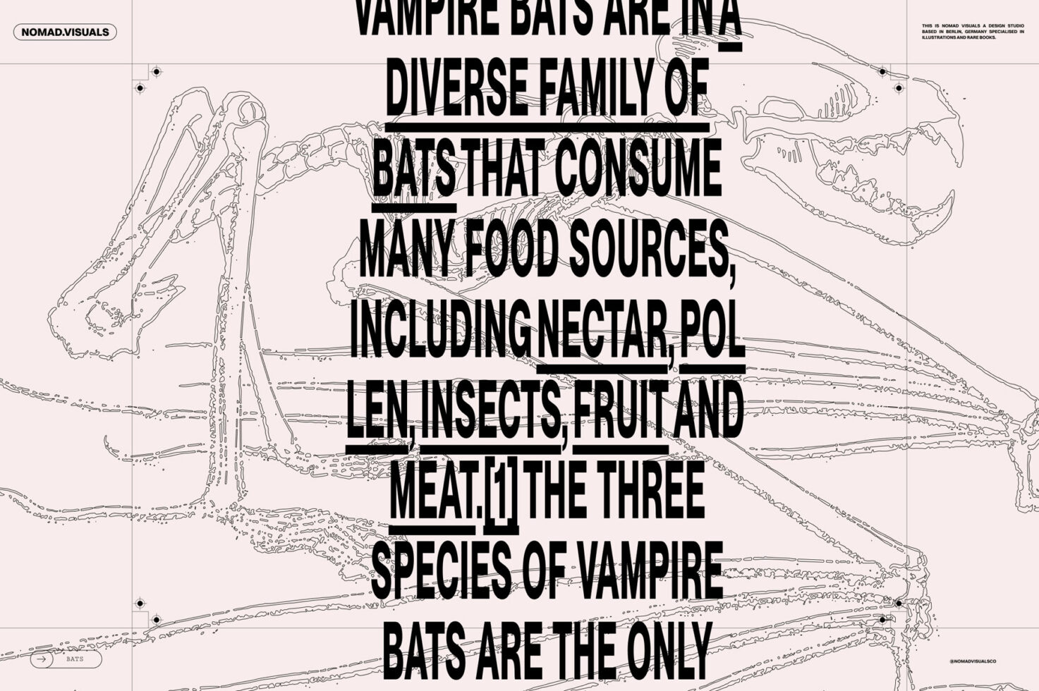 Bat anatomy line illustration with bold text overlay ideal for graphic designers seeking unique templates or creative design assets.