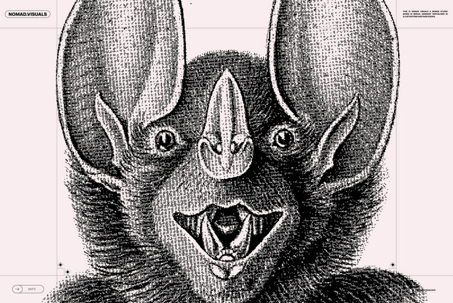 Detailed stipple illustration of a bat face in close-up. Suitable for designers looking for unique graphic elements and vintage wildlife artwork.