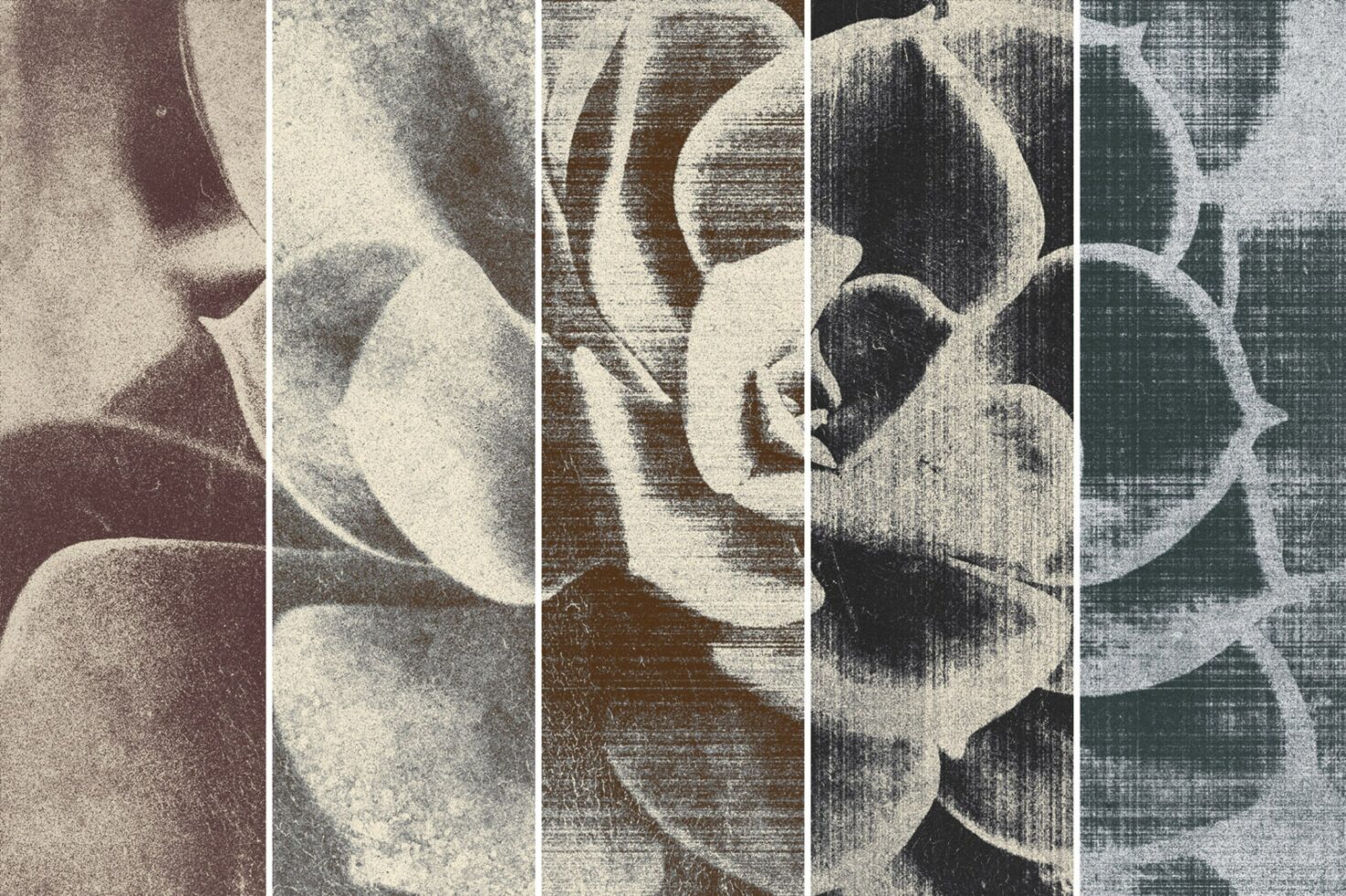 Vintage floral textures collage showcasing grayscale graphic overlays. Perfect for designers seeking unique aesthetics for mockups or templates.