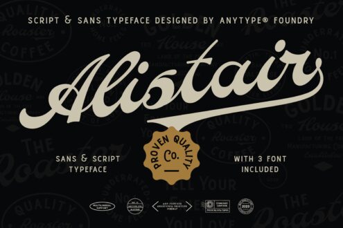 Elegant Alistair font package featuring script and sans typefaces. Includes three font styles ideal for designers. Typography asset for graphics.