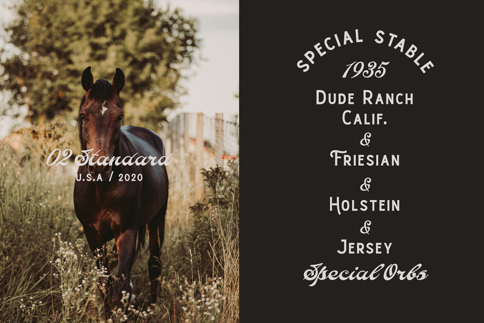 Vintage font template featuring a horse in a rustic outdoor setting Typography design ideal for graphics and text-based projects for designers