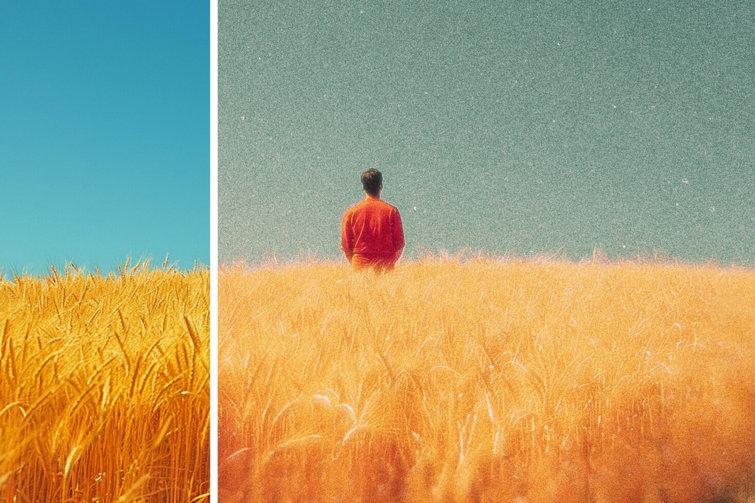 Surreal digital graphic featuring a lone person in a vibrant wheat field under a deep blue sky ideal for creative design mockups and artistic templates