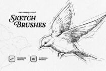 Flying bird sketch with detailed wing lines, Procreate brush set cover
