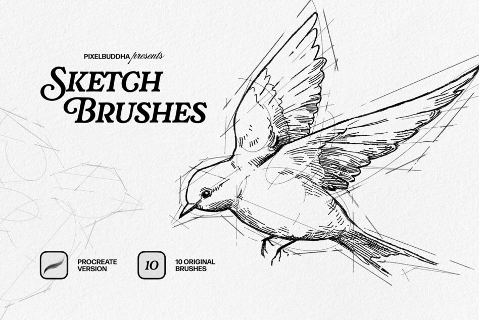 Flying bird sketch with detailed wing lines, Procreate brush set cover