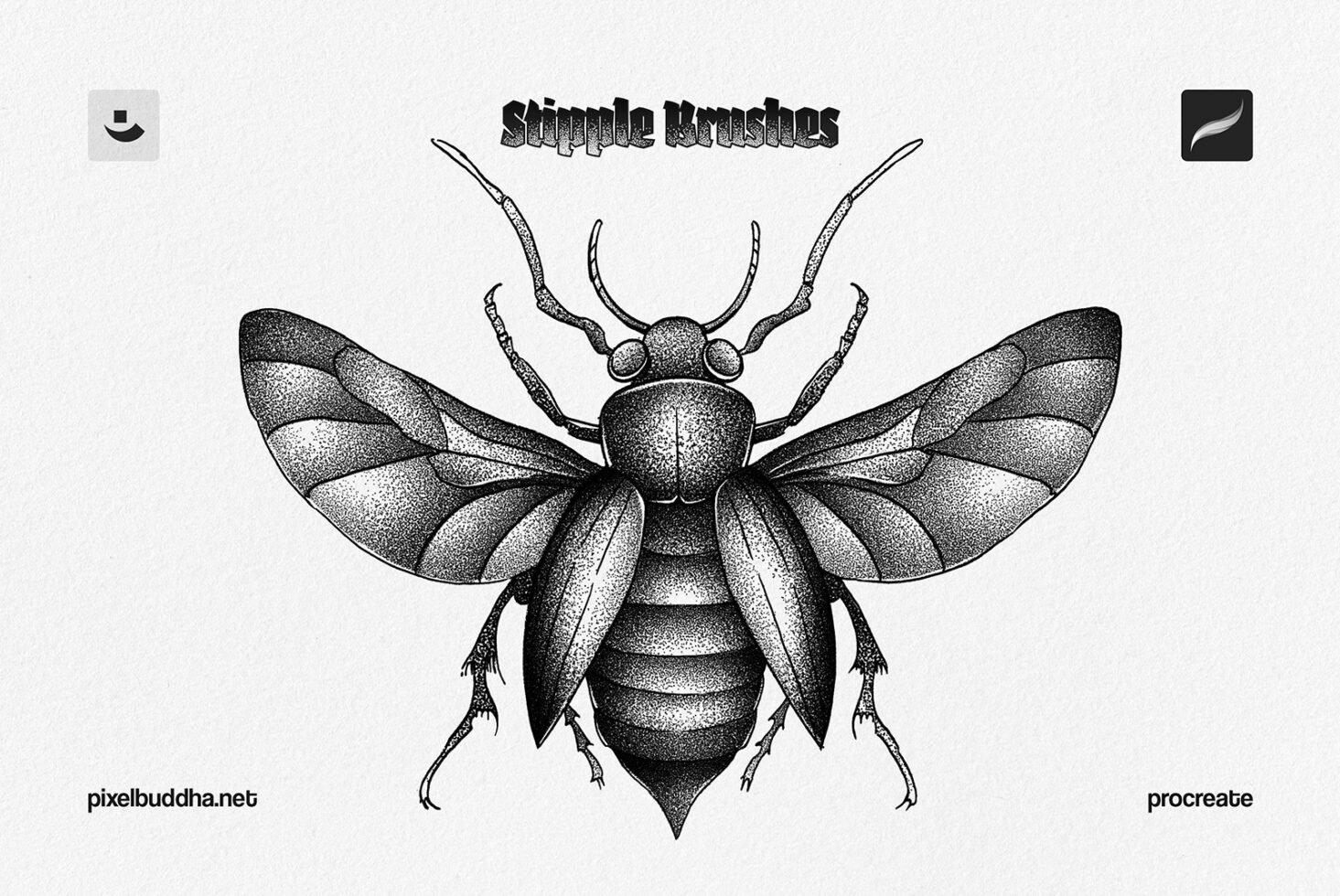 Illustration of a detailed beetle in stipple art style, showcasing stipple brushes available for Procreate. Ideal for digital artists and designers.