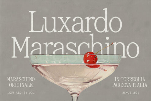 Vintage liquor mockup featuring Luxardo Maraschino branding with a cocktail glass and cherry on gray background. Ideal for designers seeking unique templates.