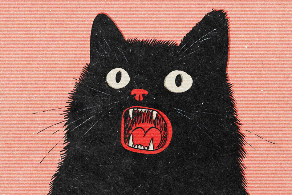 Black cat with shocked expression, red open mouth with teeth on coral texture