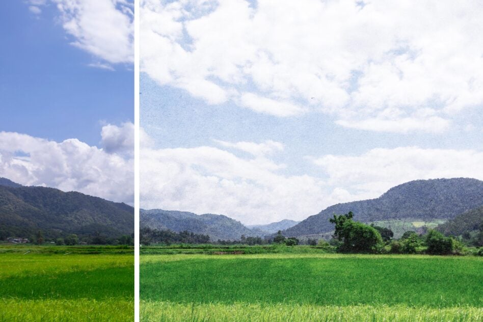 Split screen comparison of green rice fields with mountains under blue sky