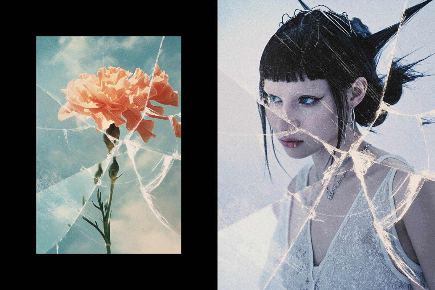 Surreal graphic art with flower and woman portrait, both through cracked glass. Ideal for creative digital mockups and design inspiration for designers.