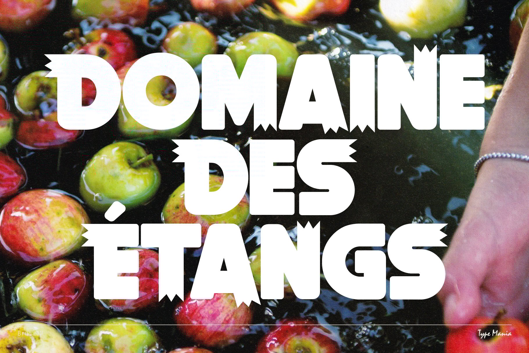Bold white text Domaine des Étangs overlays vibrant apples floating in water. Suitable for use in graphic design, typography, and creative projects.