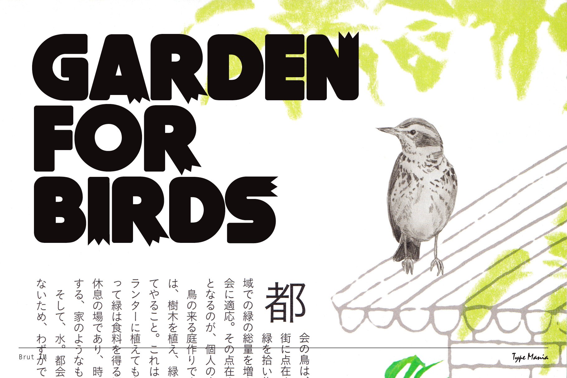Bold black text reads Garden for Birds with a sketched bird perched on a roof. Japanese characters below. Suitable for graphics or font design.