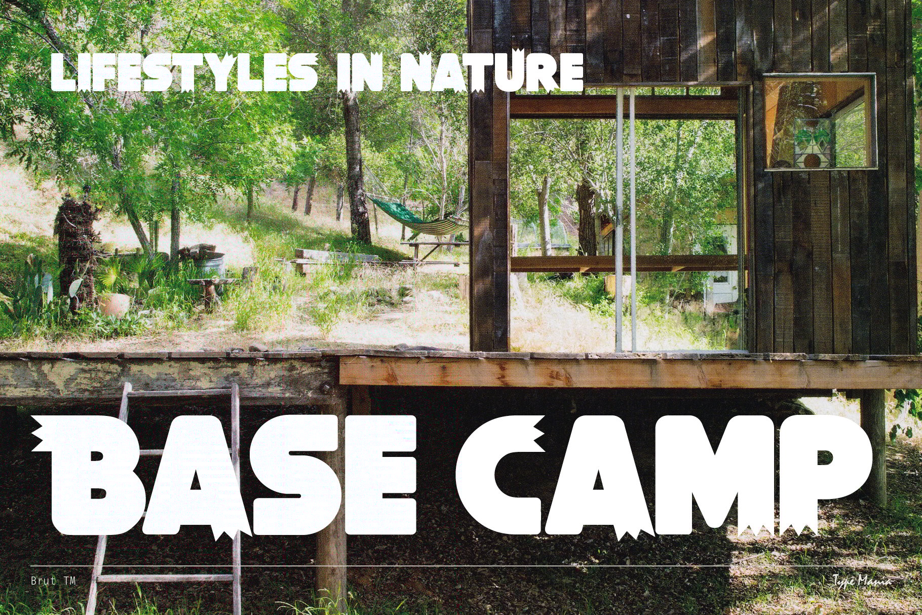 Wooden cabin in forest with large white bold font text overlay Lifestyles in Nature and Base Camp perfect for nature-themed design projects graphics.