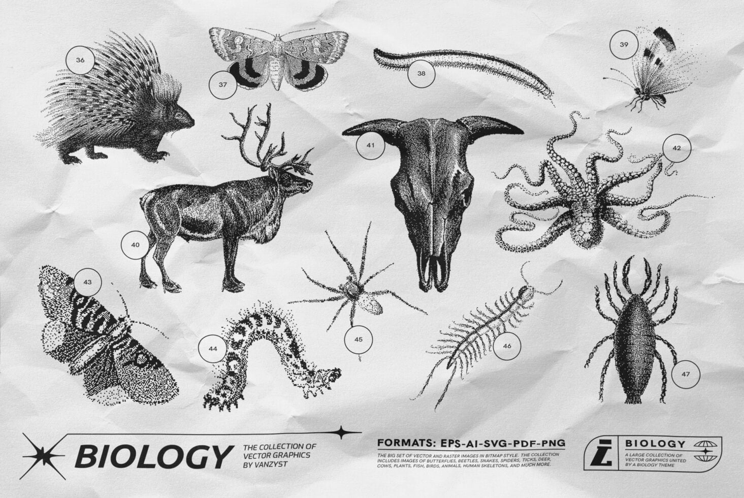 Stippled wildlife sketches with porcupine, deer skull, octopus, butterflies, snakes in botanical style
