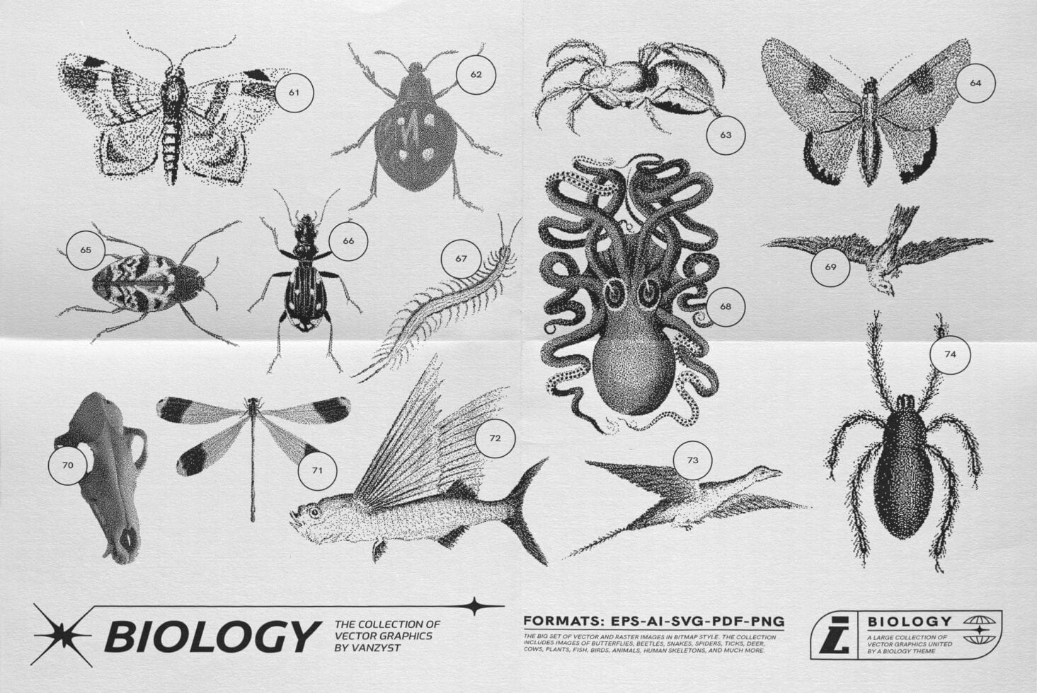 Black stippled biology illustration sheet with numbered moths, beetles, octopus, dragonfly in etching style