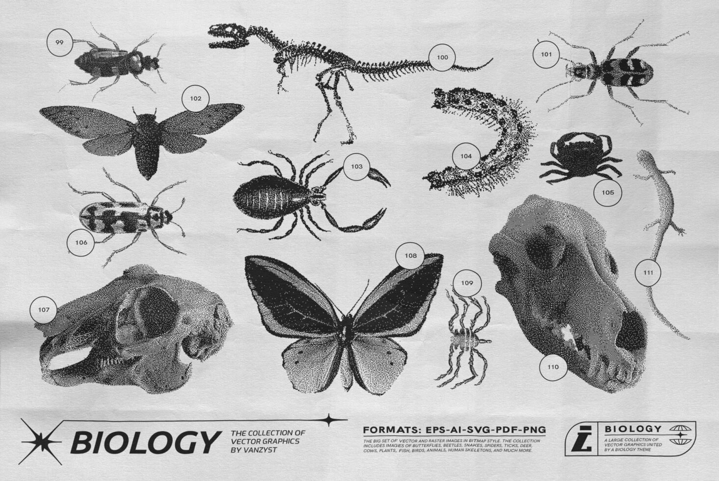 14 stippled insects, butterflies, beetles, fish, spider, octopus illustrated