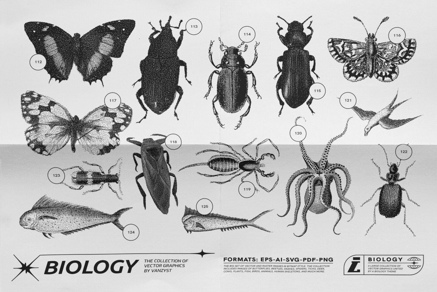 14 stippled insects, butterflies, beetles, fish, spider, octopus illustrated