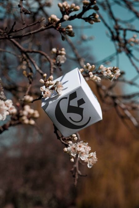Box mockup featuring a geometric logo hanging from a blooming branch against a turquoise sky background. Ideal for graphic design and branding projects.