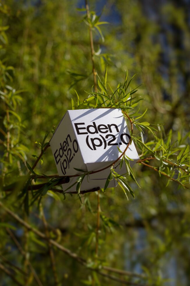 White cube mockup with Eden branding nested in fresh green pine needles