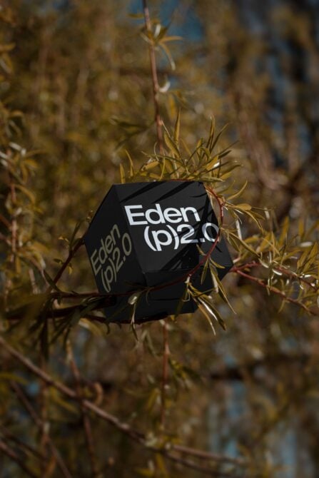 Black cube mockup displaying Eden branding cradled in dried golden branches