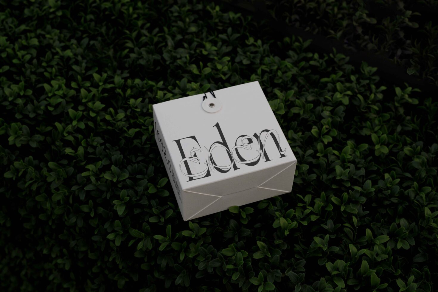 White packaging mockup featuring elegant typography Eden on a lush green foliage background. Ideal for designers seeking branding and product design assets.